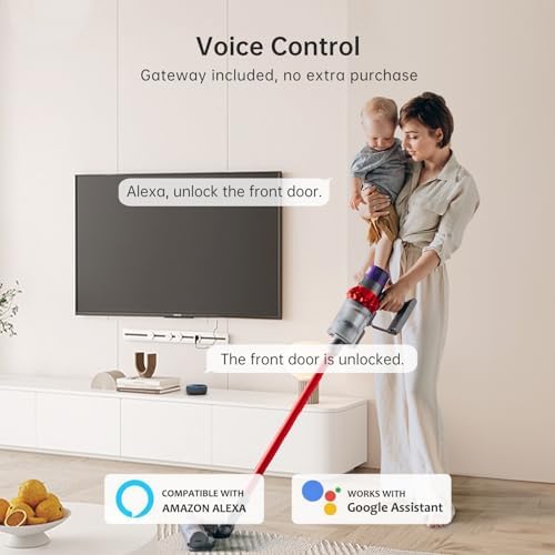 Hornbill WiFi Smart Door Lock Set