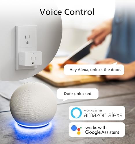Secure Remote Dooropeners with Alexa Google Home