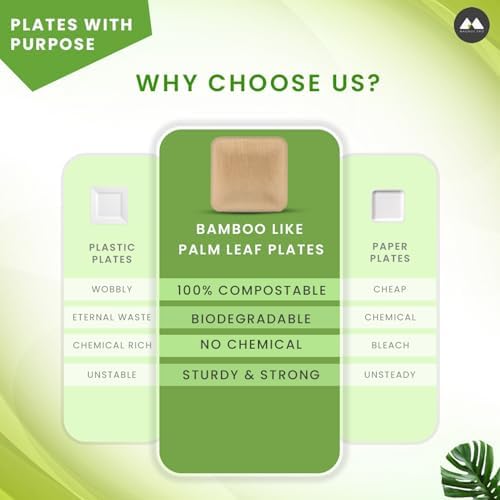 Natural Bamboo Disposable Plates Eco-Friendly 10x10 inch 50 Pack
