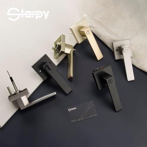 STARPY Satin Brass Door Handle Set