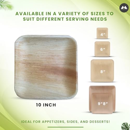 Natural Bamboo Disposable Plates Eco-Friendly 10x10 inch 50 Pack