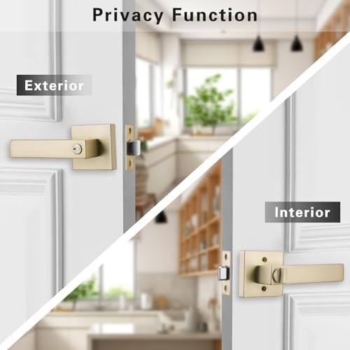 STARPY Satin Brass Door Handle Set