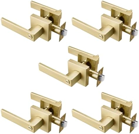 STARPY Satin Brass Door Handle Set