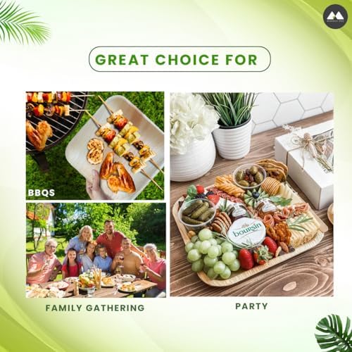 Natural Bamboo Disposable Plates Eco-Friendly 10x10 inch 50 Pack