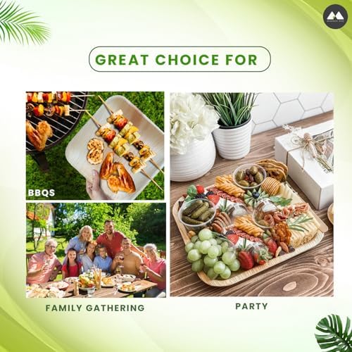 Natural Bamboo Disposable Plates Eco-Friendly 10x10 inch 50 Pack