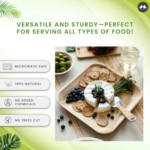 Natural Bamboo Disposable Plates Eco-Friendly 10x10 inch 50 Pack