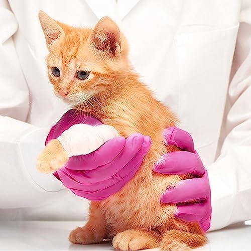 Fuchsia Nitrile Gloves Go-to Latex-Free Disposable Gloves for Hands