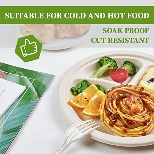 Compostable 3-Compartment Plates