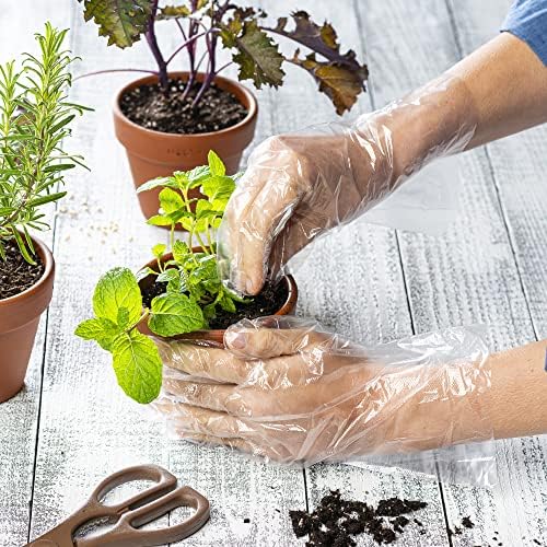 Comfortable Disposable Gloves for Cooking